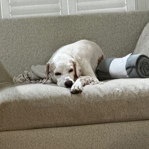 Meet your Posher, Raymond